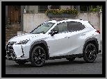 Bok, Biały, Lexus UX