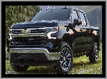 Chevrolet Silverado Crew Cab