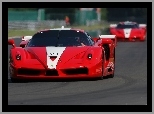 Ferrari FXX, Numer, Spaliny, Startowy