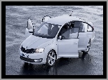 Skoda, Rapid